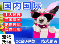 长春龙嘉航空运输国际宠物托运 【国
